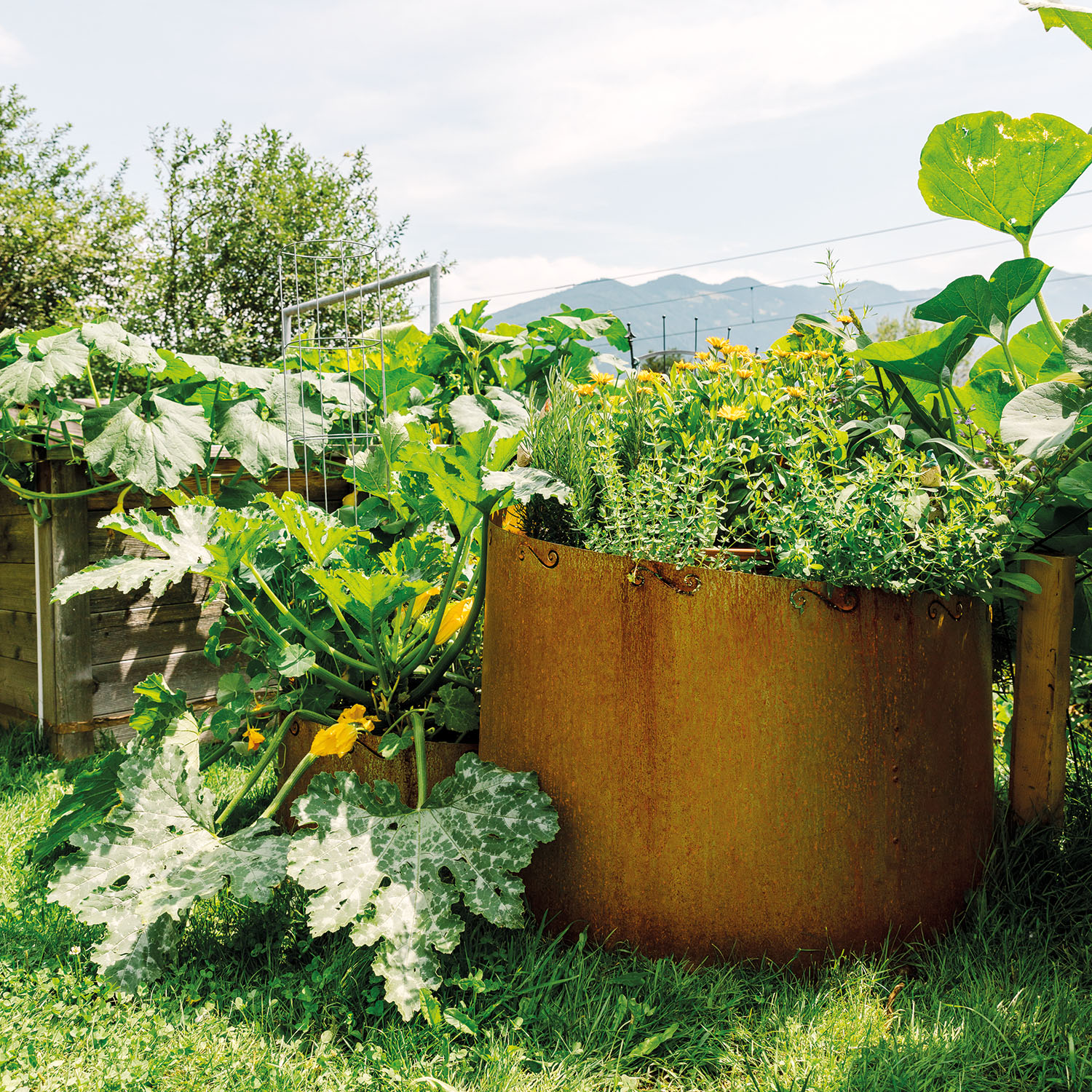Kräuterspirale Corten  Kräuterspirale Corten
